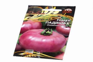 Описание на сорта домат Падиша и неговите характеристики
