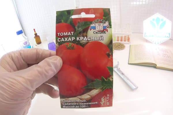 Σπόροι ντομάτας