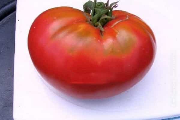 unpretentious variety