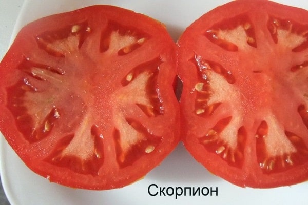 добър имунитет