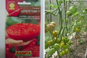 Beschreibung der Tomatensorte Super Steak sowie deren Ertrag und Anbau