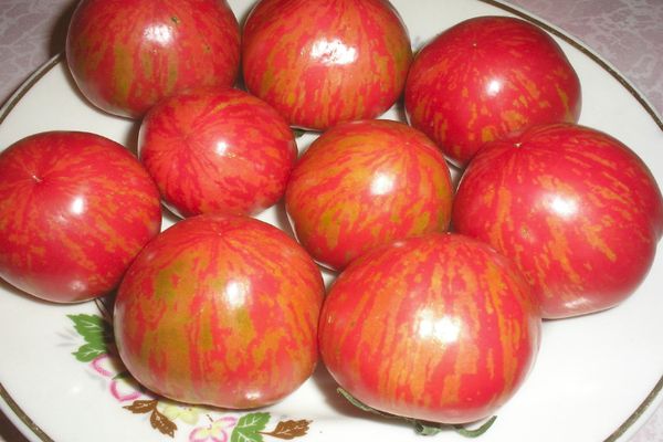 Зрели домати