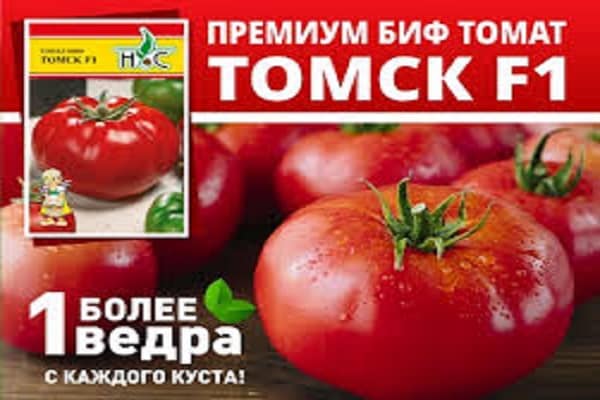 големи размери