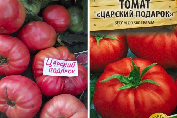Tomatensamen
