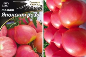Описание на сорта доматена японска роза и нейните характеристики