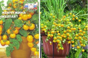 Beschreibung der Tomatensorte Perlgelb und Anbaumerkmale