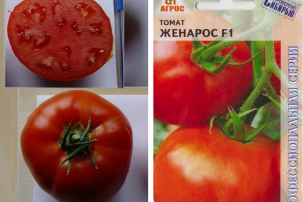 Домати семена