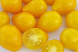 Περιγραφή της ποικιλίας των ντοματών Golden Drop και Bifseller ροζ f1
