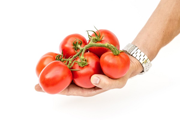 prestigeträchtige Tomate