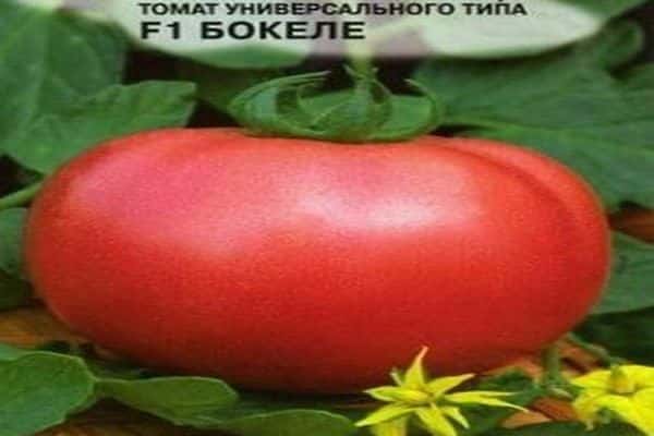 бокла домат