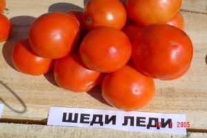 Характеристики и описание на сорта домат Шеди, неговият добив