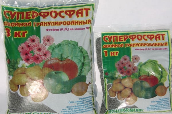 The better to feed cucumbers during flowering and fruiting