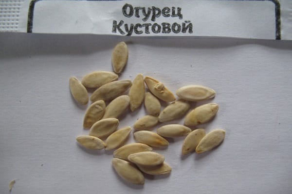 μακράς διαμονής