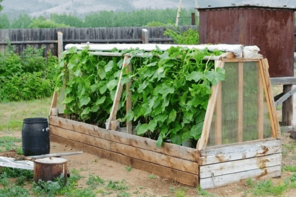 chuẩn bị mặt bằng