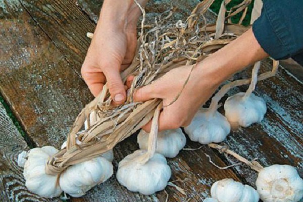 elegir verduras
