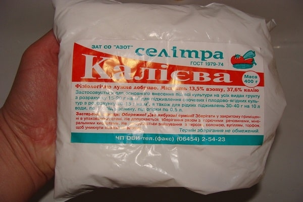 uborka saláta