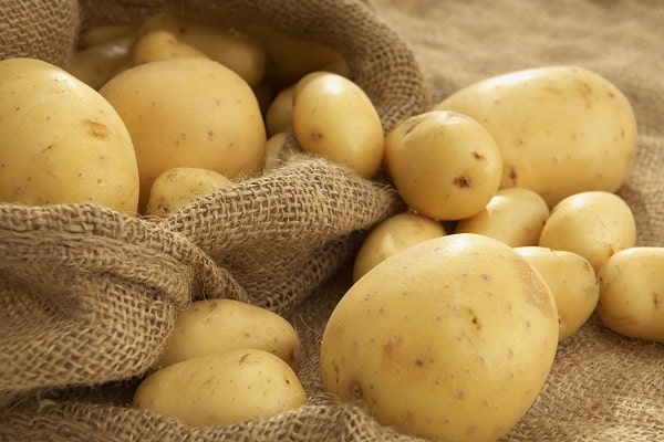 rhizoctonia og andre