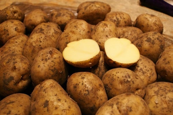 Riviera Kartoffeln