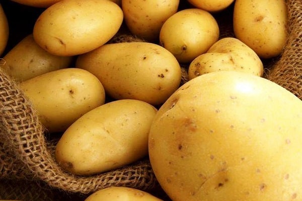 Kartoffelknollen