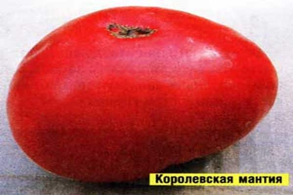 Tomatenmantel