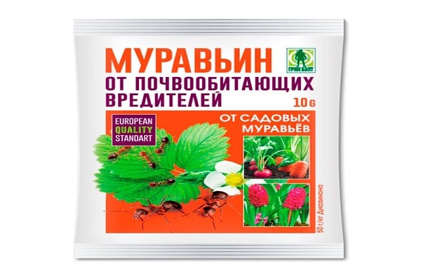 skruzdžių narkotikų