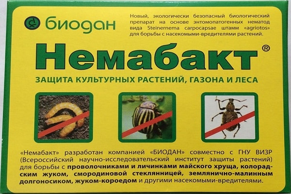 ne tabakas prieš visus