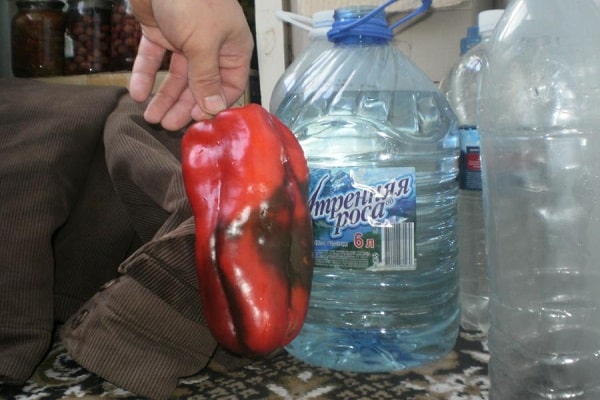 тъмночервени плодове