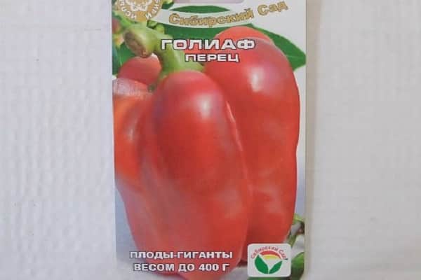  се счупи под тежестта