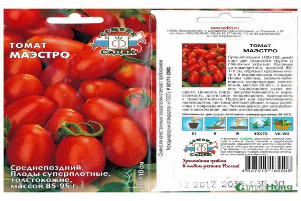 семената маестро