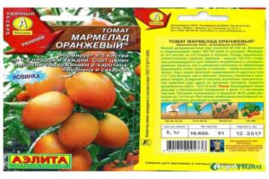 Pomidorų veislių aprašymas ir savybės Oranžinis marmeladas
