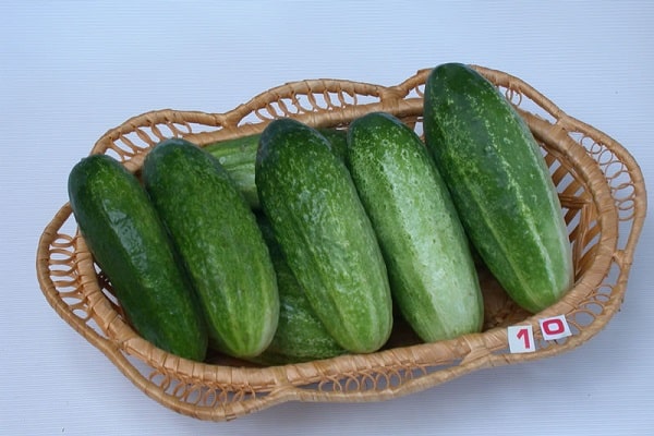 nourrir régulièrement