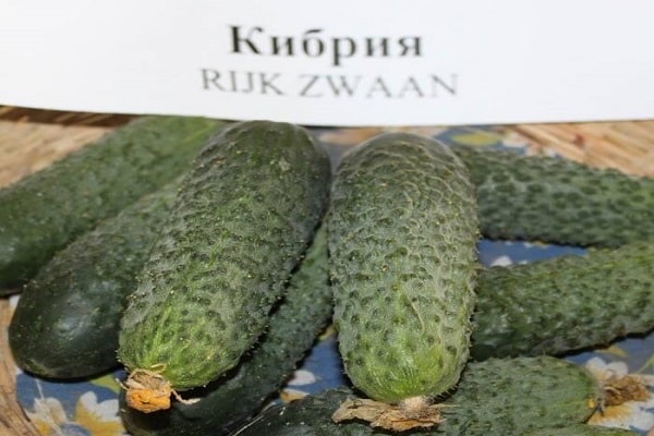  ελαφριά σκιά