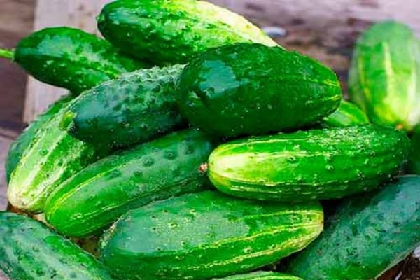 грижи за краставици