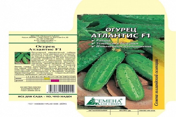 ισχυρά μαστίγια