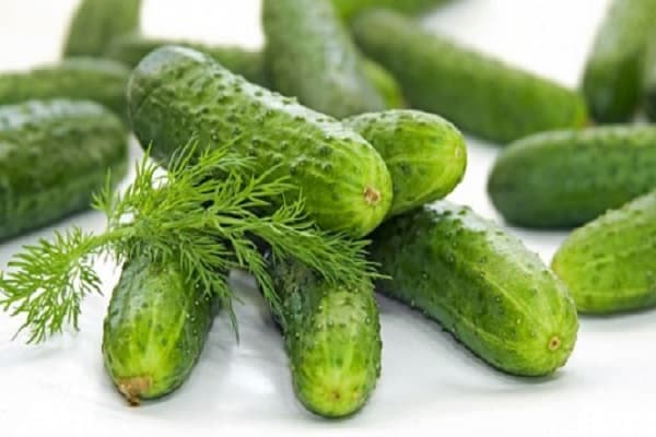 decent cucumbers