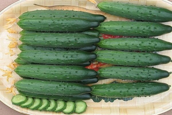 Gurkenscheiben