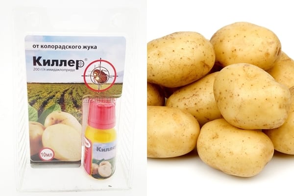 dræber narkotika og kartofler