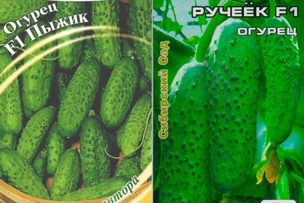 okurka plavá a pramínek