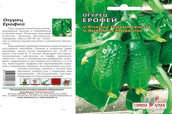 висок грм