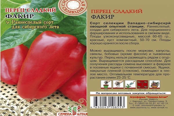 pieprzowy fakir