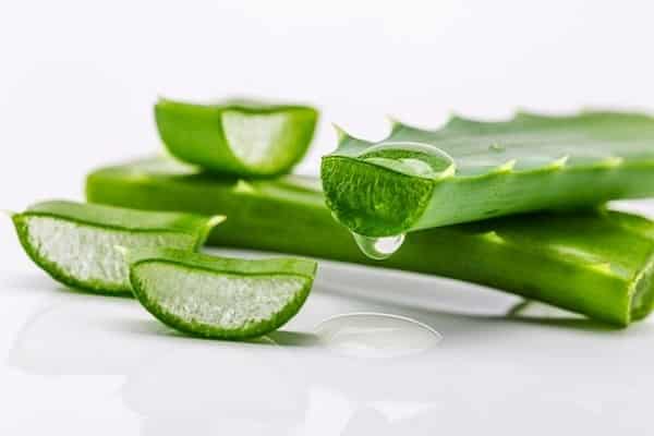 Aloe Retter