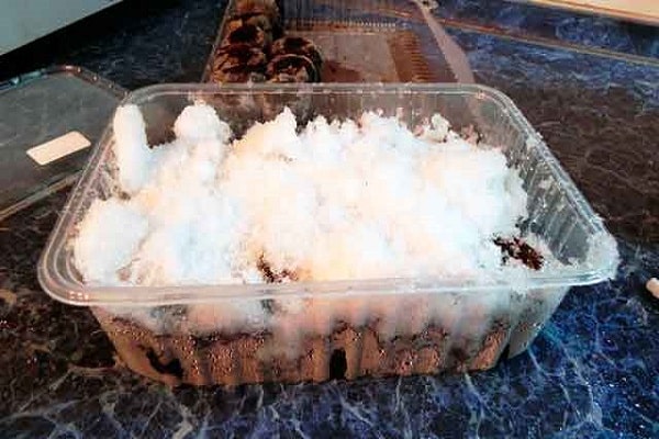 поступци каљења