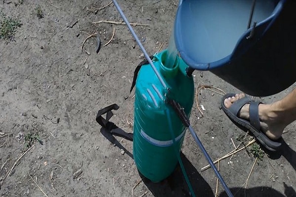 refresco de pulgón