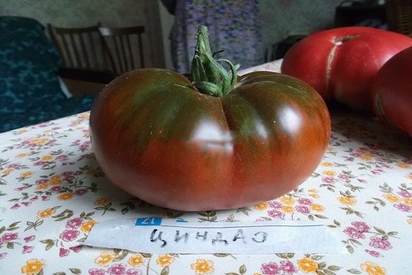 Кингдао домат