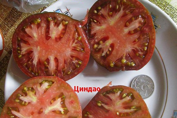 черна арония