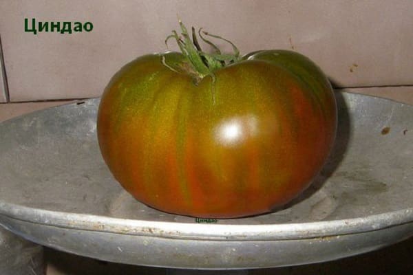 превенция на заболяванията