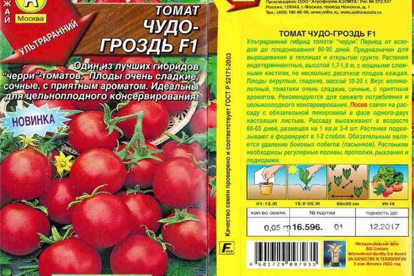 Tomatensamen