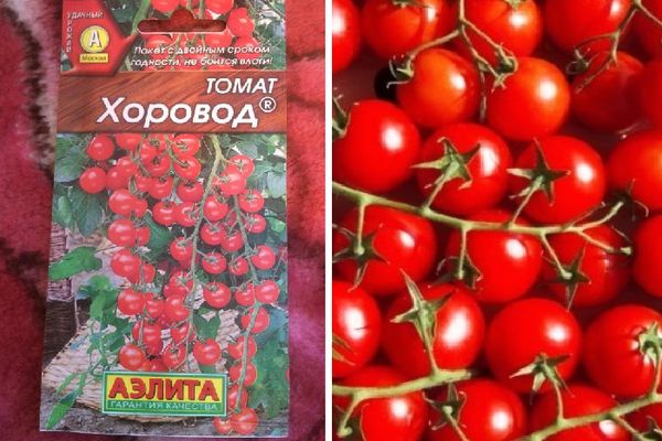 Домати семена