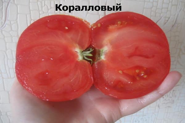 koralsnitt