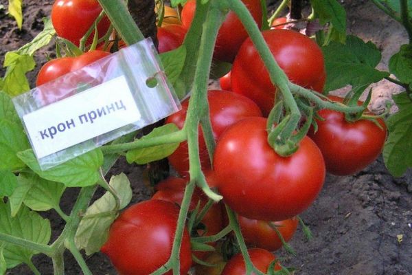 престолонаследник